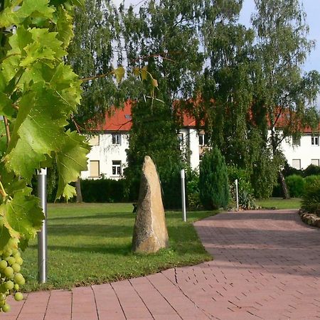 Christliche Gaestehaeuser Weinstrasse Neustadt an der Weinstraße エクステリア 写真